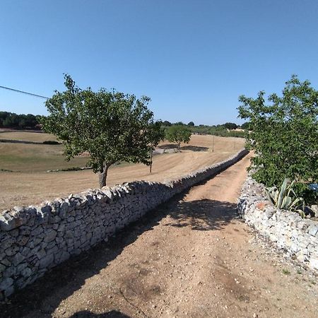 Masseria Catucci Agriturismo Alberobello Bagian luar foto