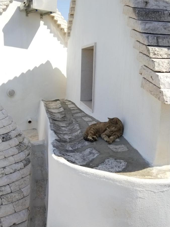 Masseria Catucci Agriturismo Alberobello Bagian luar foto