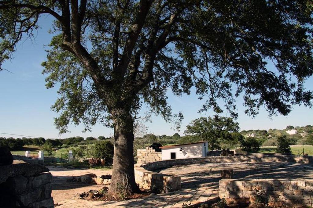 Masseria Catucci Agriturismo Alberobello Bagian luar foto
